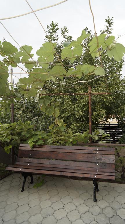 Nino'S Guest House Тбілісі Номер фото